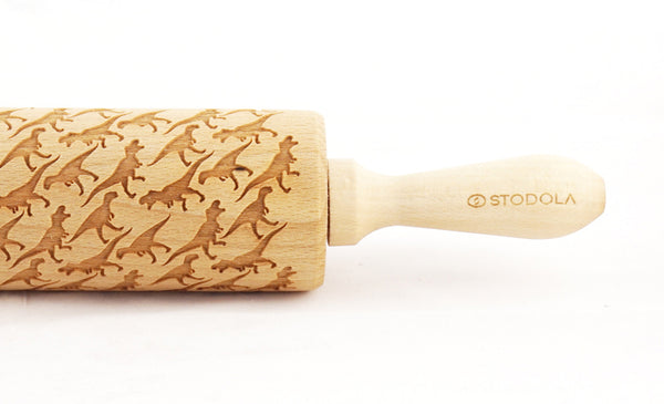 Rolling Pin Embossed with DINOSAURUS